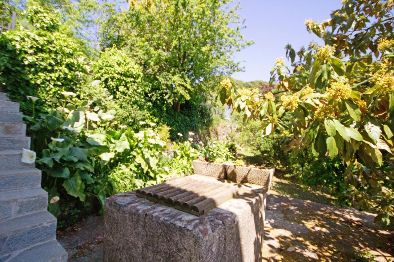 Monolocale Fattorialmare Viola Apartment Camogli Bagian luar foto